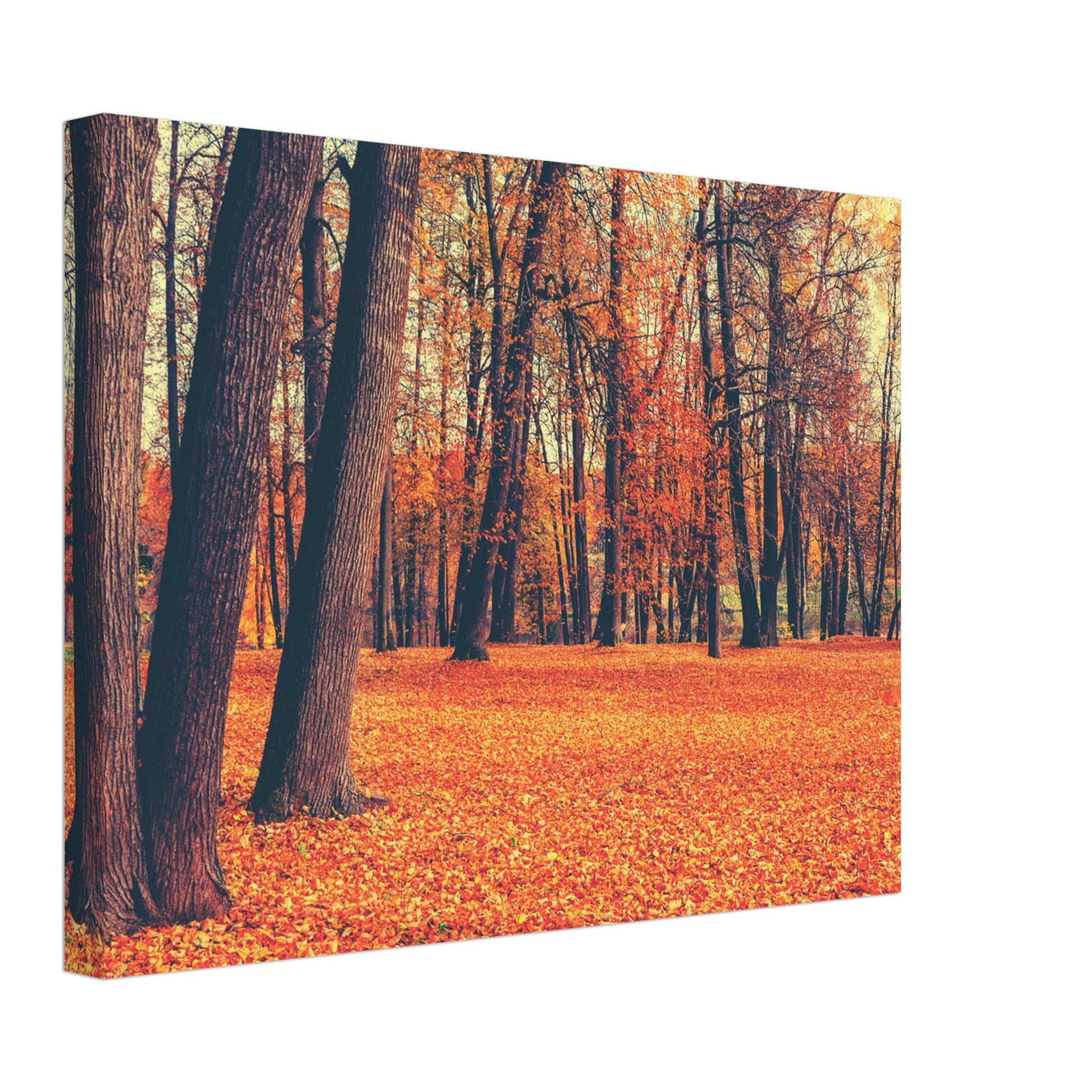 Autumn Carpet - Canvas - Arthena