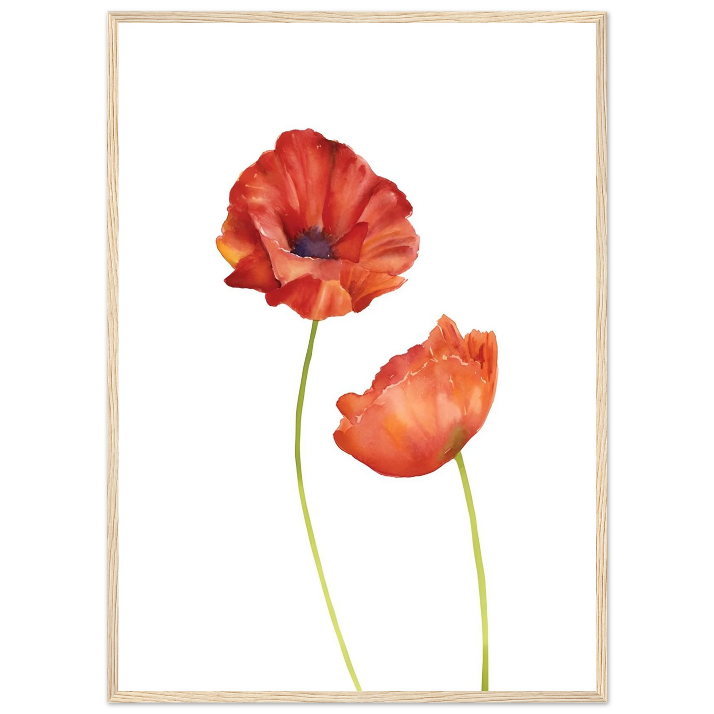Watercolor Red Poppies - Poster - Arthena