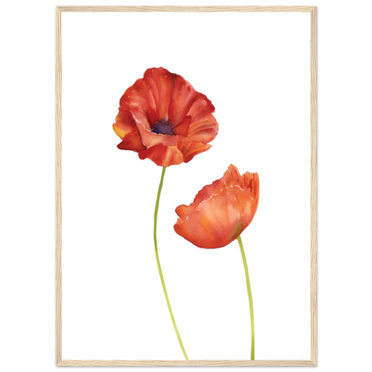 Watercolor Red Poppies - Poster - Arthena