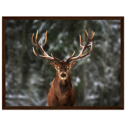 Stag in snow - Poster - Arthena
