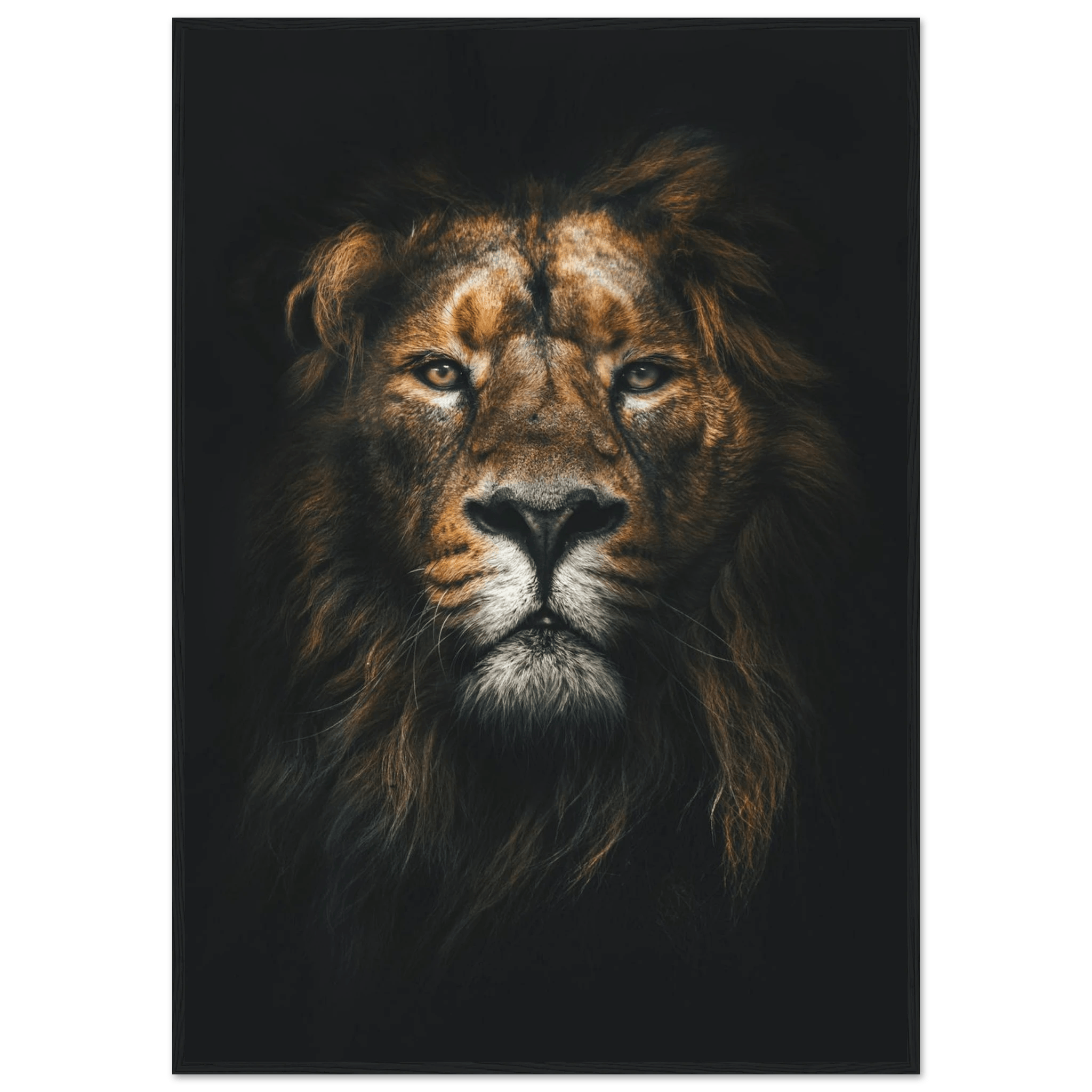Lion King - Poster - Arthena