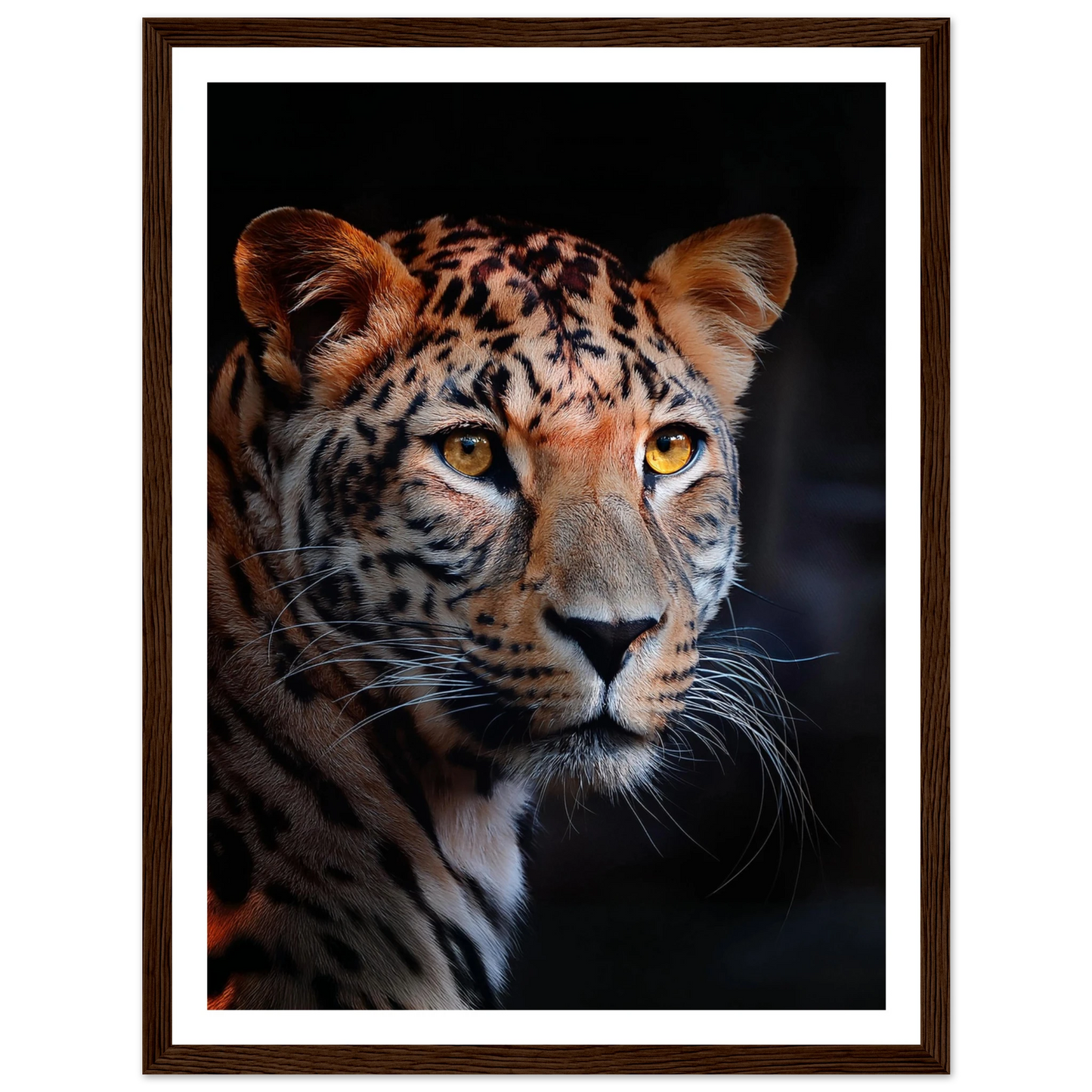 Leopard - Poster - Arthena