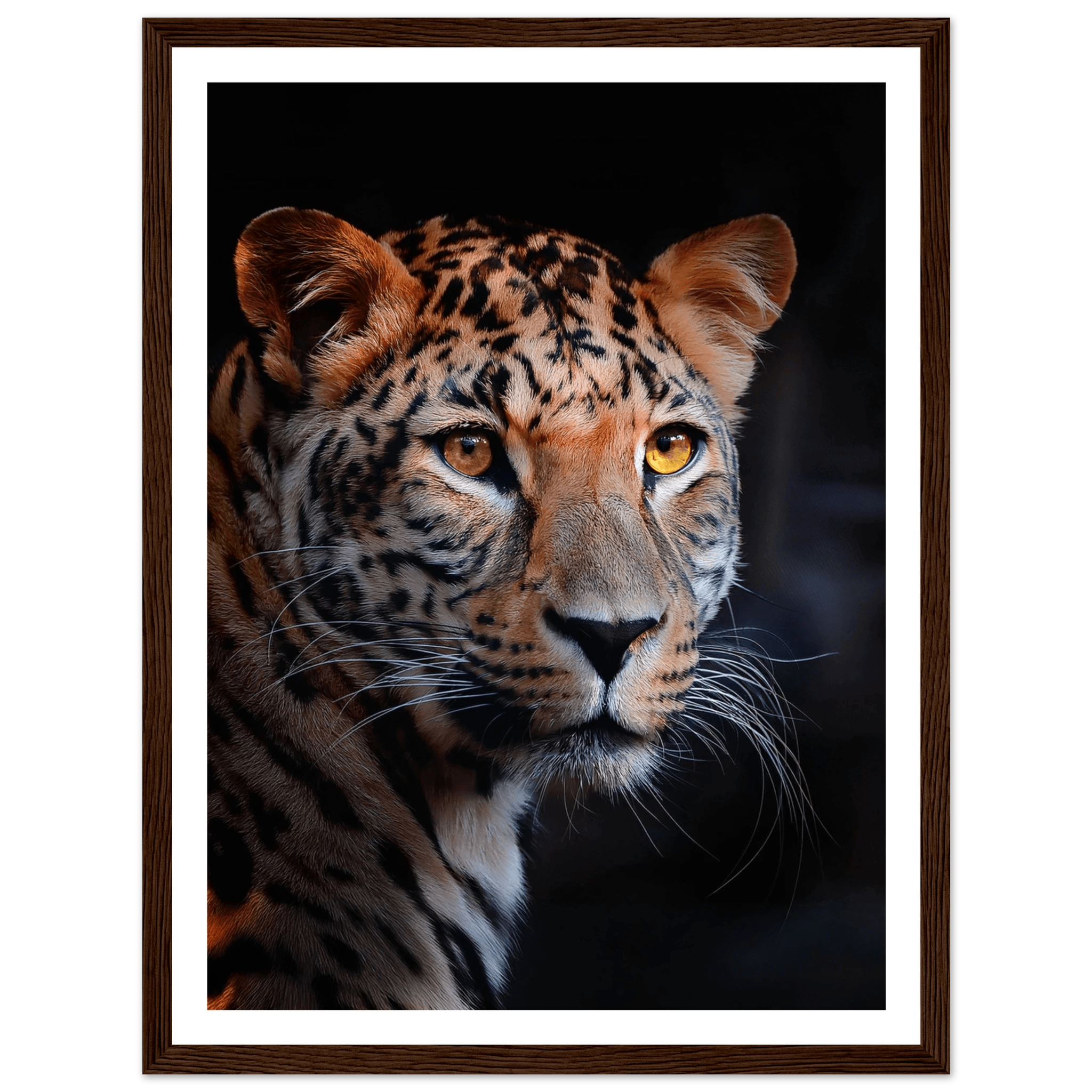 Leopard - Poster - Arthena