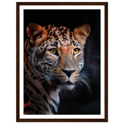 Leopard - Poster - Arthena