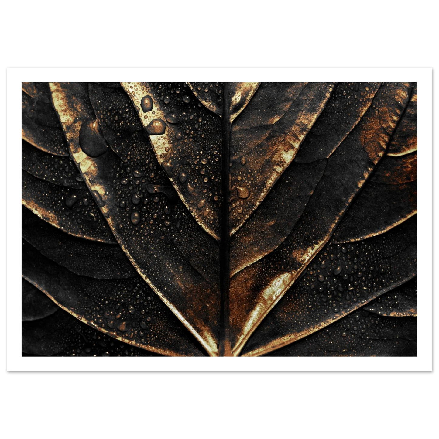Gold Veins - Poster - Arthena