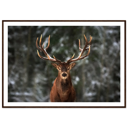 Stag in snow - Poster - Arthena
