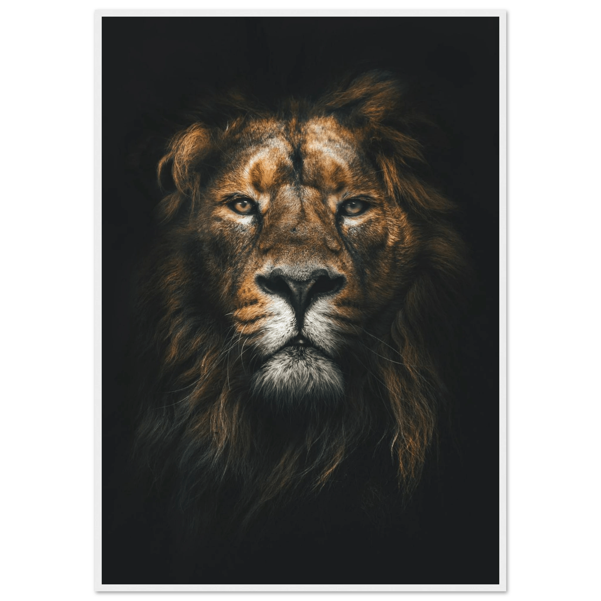 Lion King - Poster - Arthena