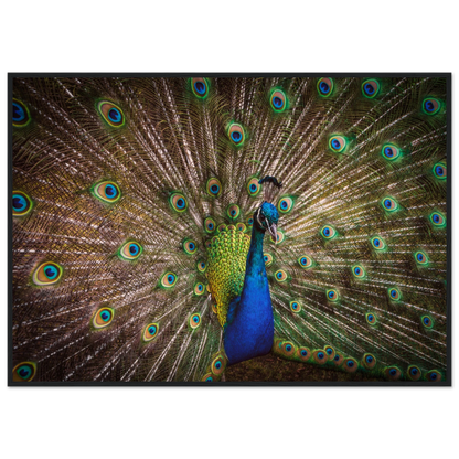 Crown of feathers - Poster - Arthena