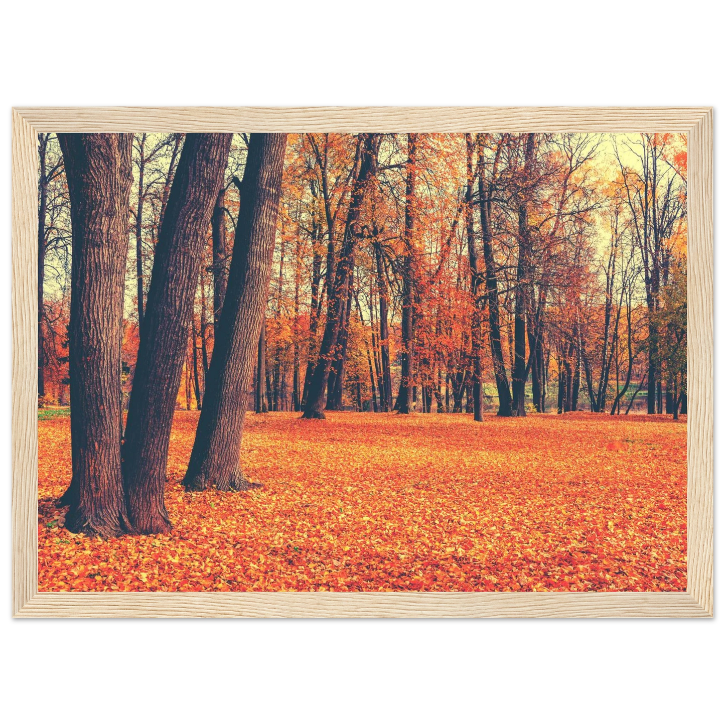 Autumn Carpet - Poster - Arthena