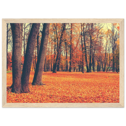 Autumn Carpet - Poster - Arthena