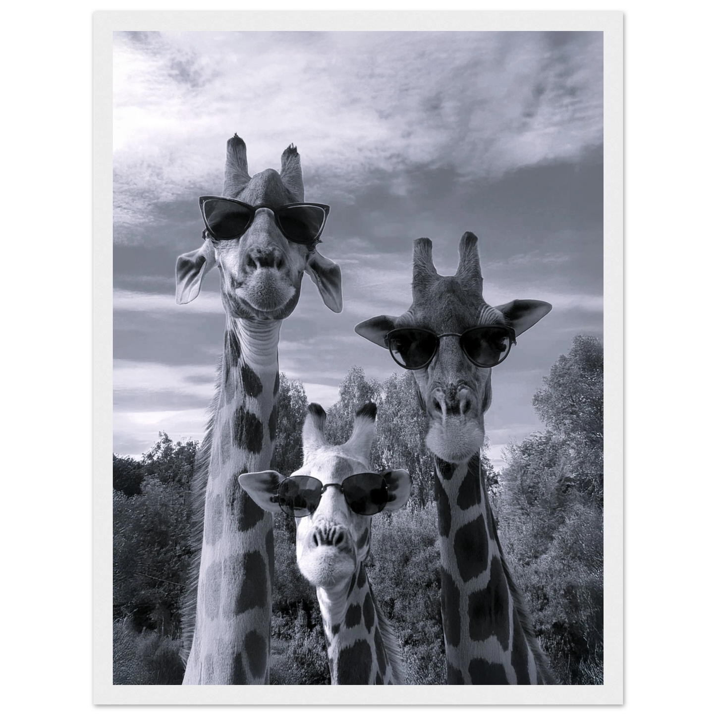 A Sunny Day to be a Giraffe - Poster - Arthena