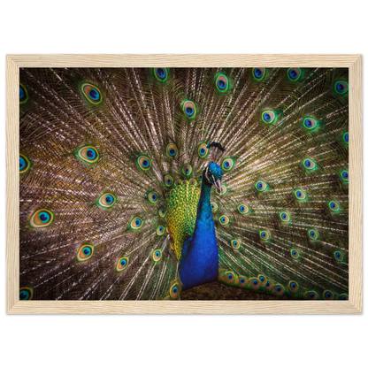 Crown of feathers - Poster - Arthena
