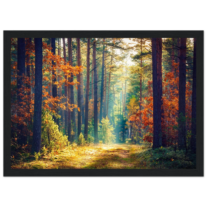 Path of Autumn Glow - Poster - Arthena