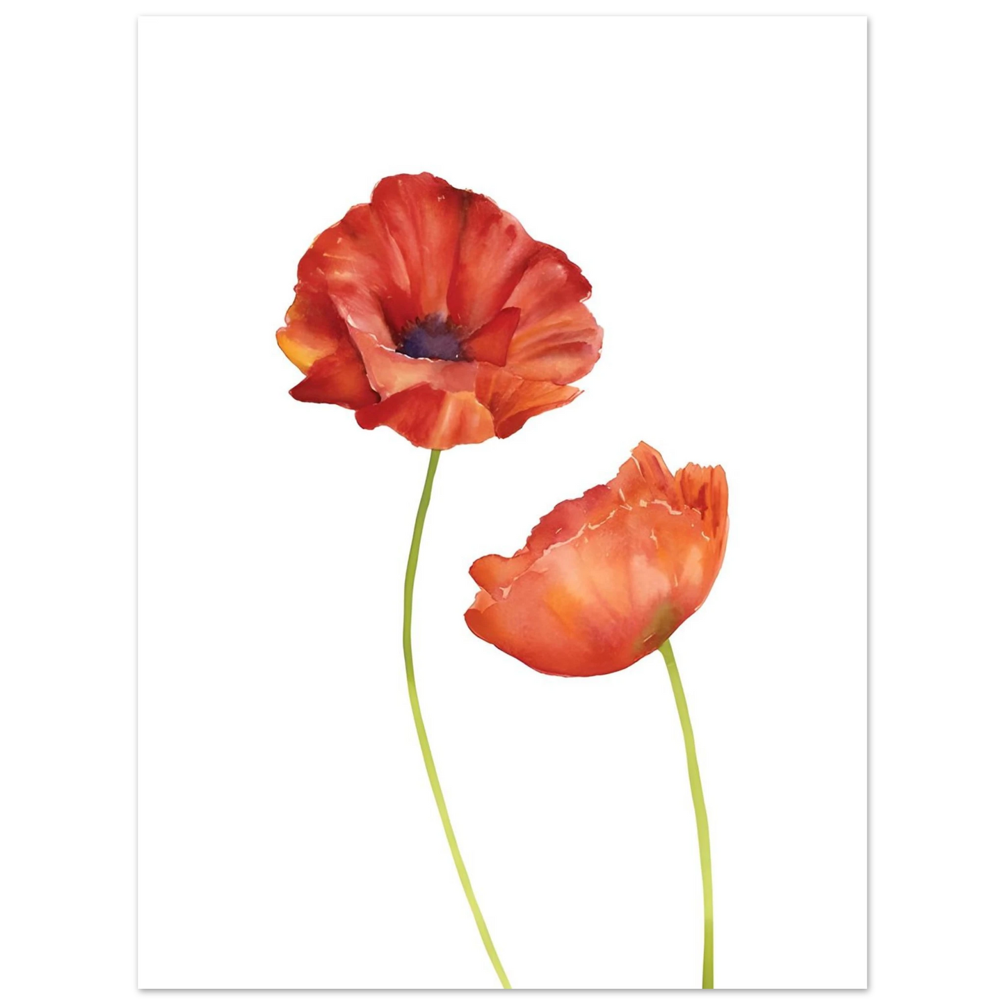Watercolor Red Poppies - Poster - Arthena