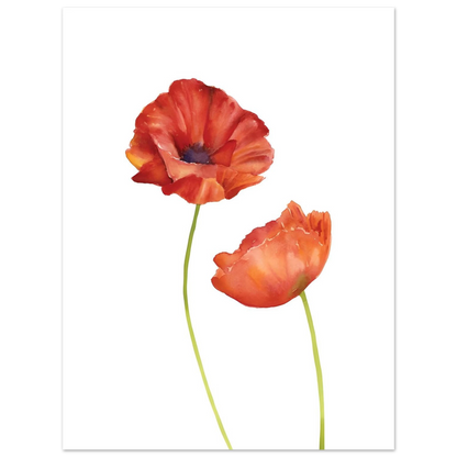 Watercolor Red Poppies - Poster - Arthena